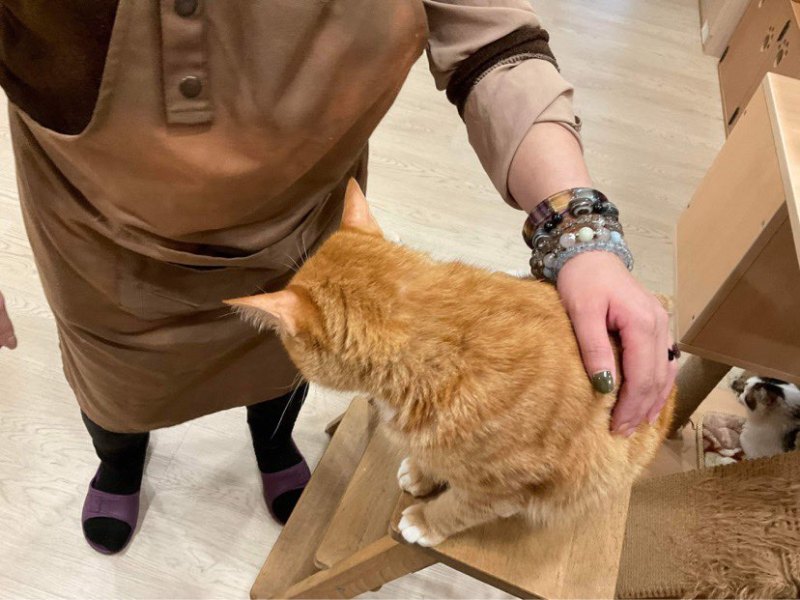 【春季報】實習新生活：慌張的時候，記得一步一步慢慢走